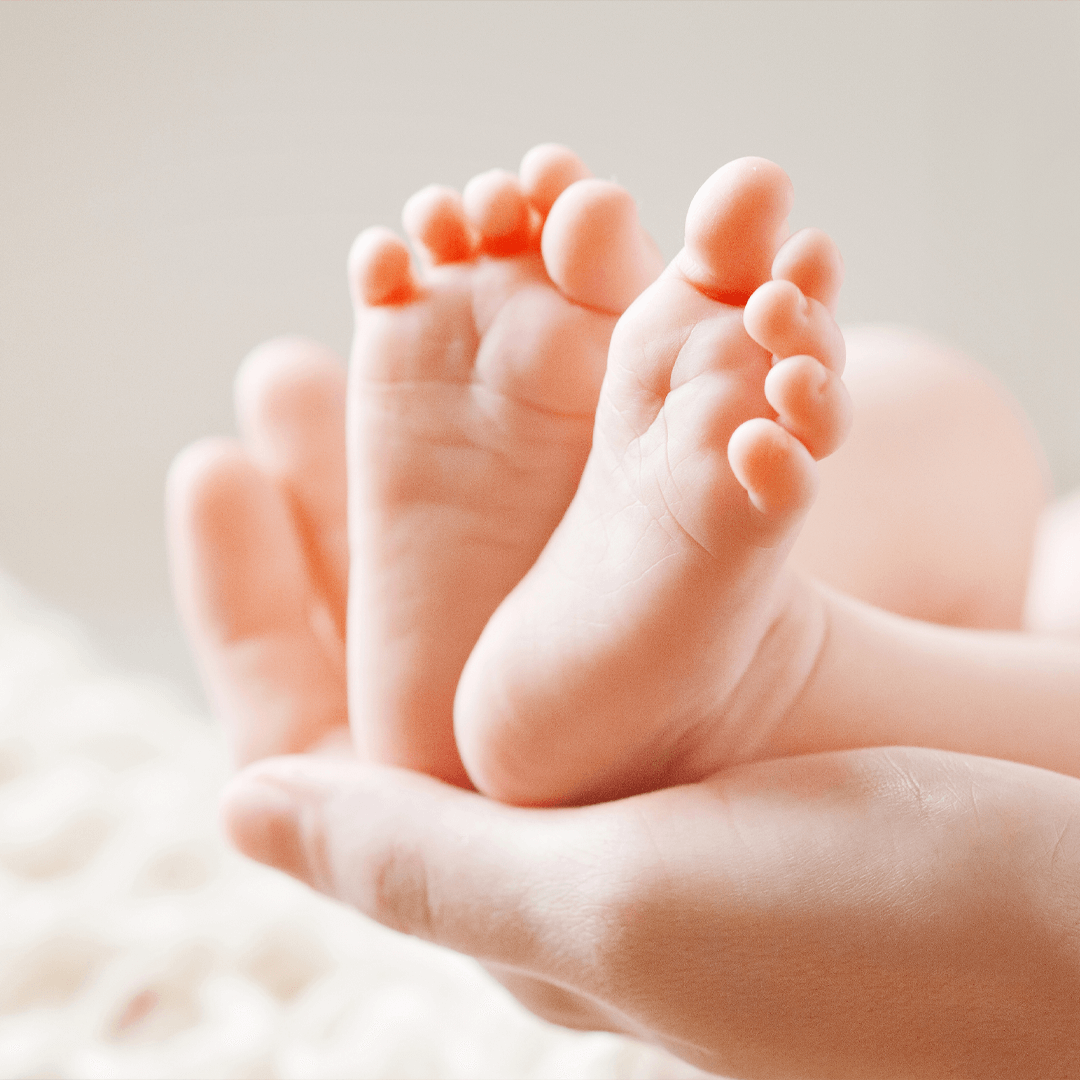 fertility