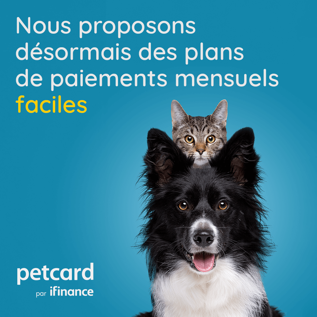 publicité_02A-Jun-24-2024-08-42-50-5774-PM